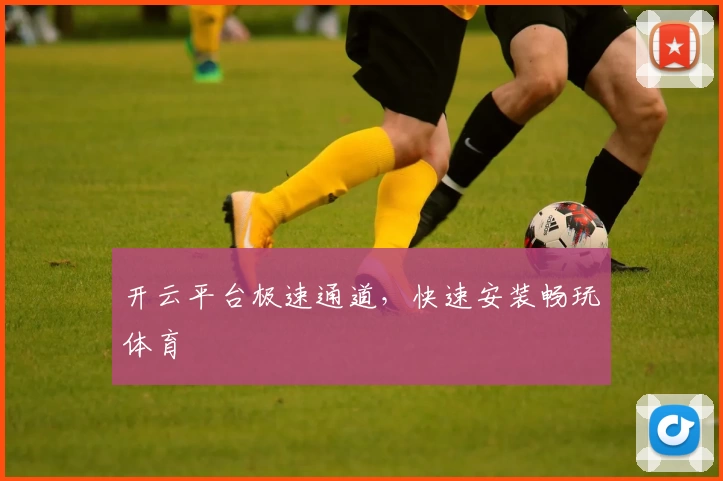 开云平台极速通道，快速安装畅玩体育